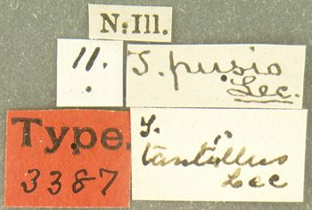 Media type: image;   Entomology 3387 Aspect: labels